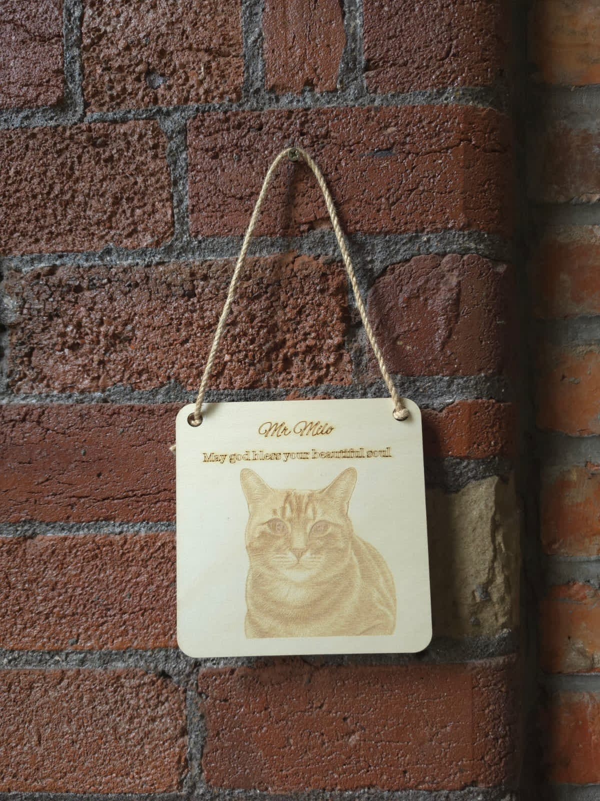 Engraving project 41